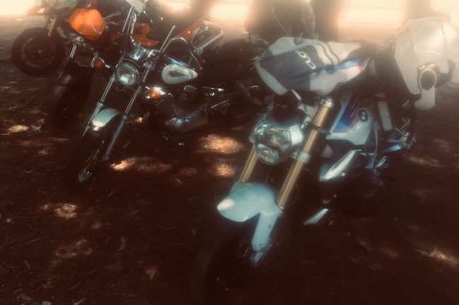 Bikes on Lake Buffalo run Feb 2024
